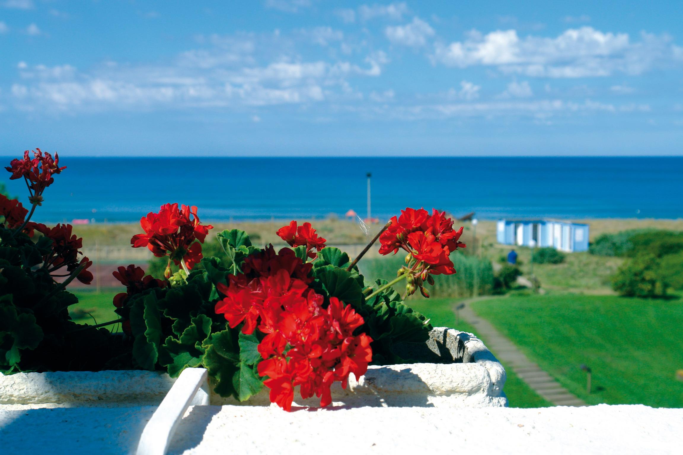 Hotel Della Baia Baia Domizia Dış mekan fotoğraf