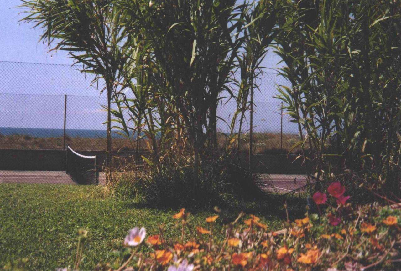 Hotel Della Baia Baia Domizia Dış mekan fotoğraf